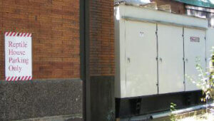 Generators at Bronx Zoo