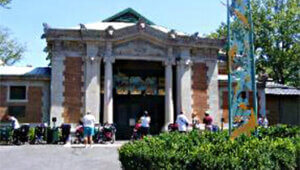 Bronx Zoo - Generator Maintenance