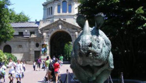 Bronx Zoo - Generator Maintenance