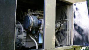 Generators - Bronx Zoo