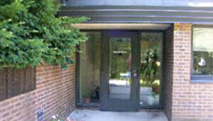 Generators - Bronx Zoo