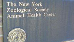 Generator Maintenance - Bronx Zoo